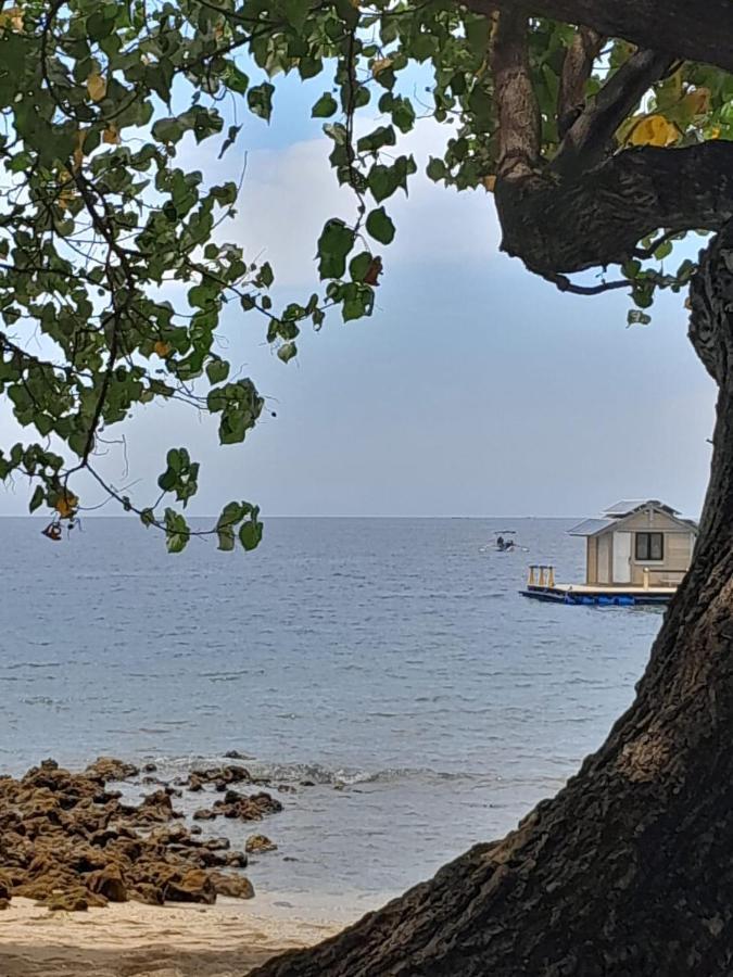 La Paparrucha Bali Acomodação com café da manhã Pemuteran Exterior foto